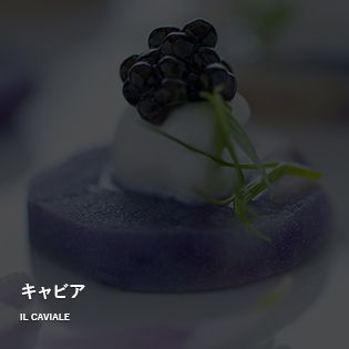 IL CAVIALE　キャビア