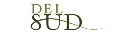 delsud-logo